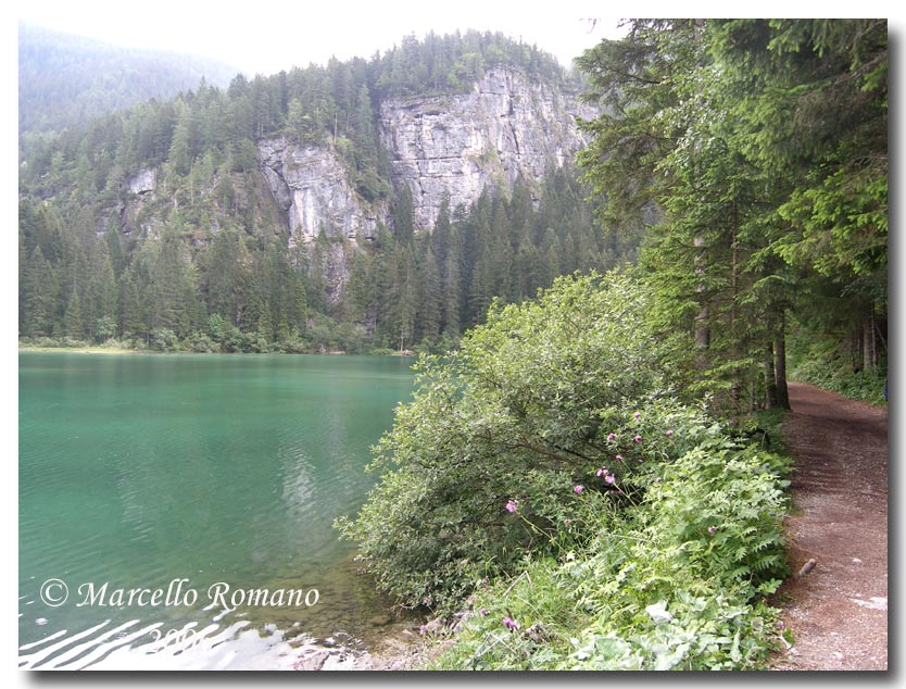 Insetti del Parco Adamello Brenta (TN): immagini e appunti